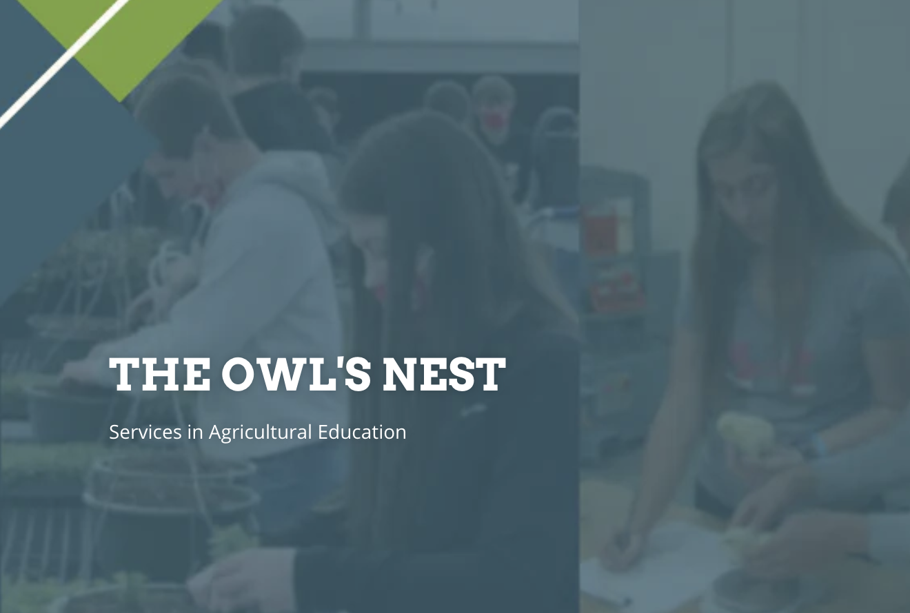 The Owl’s Nest