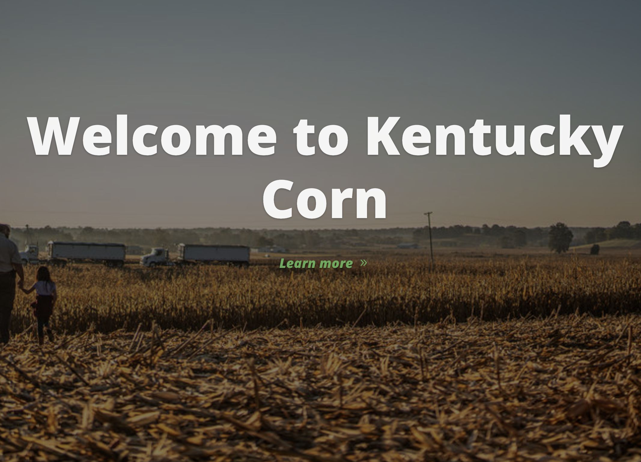 Kentucky Corn